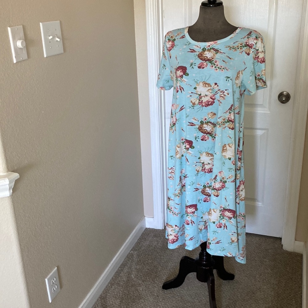 Lularoe Jesse Swing Dress, size L